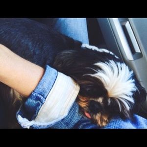 Meet your Posher, Paula